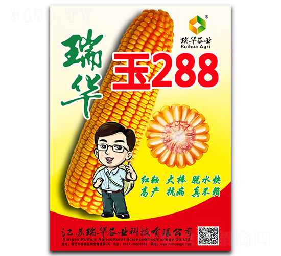 瑞華玉288-玉米種子-瑞華農(nóng)業(yè)