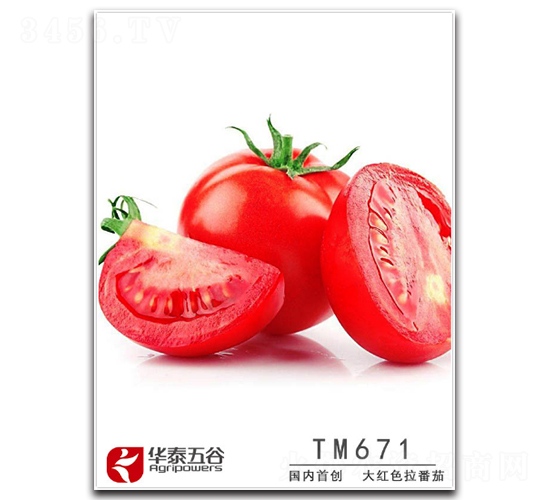 TM671-番茄種子-華泰五谷