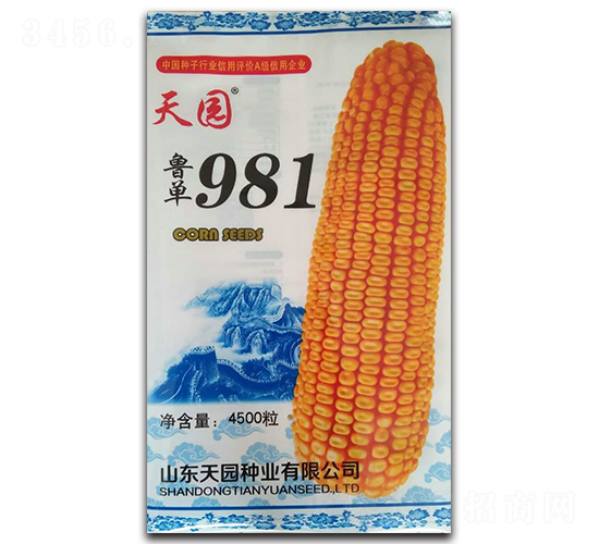 魯單981-玉米種子-天園種業(yè)