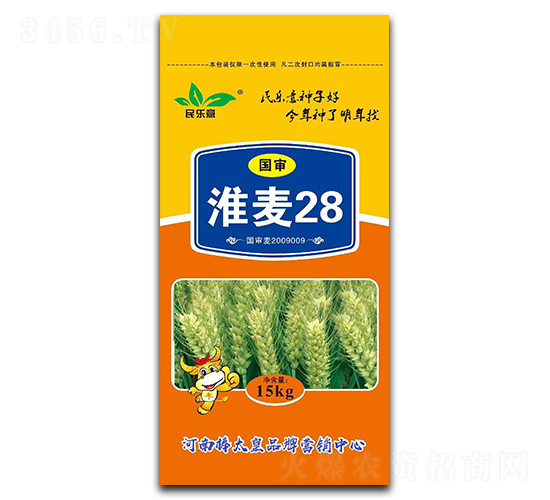 淮麥28（小麥種子）-民樂意-鼎冠種業(yè)