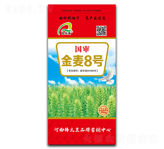 國審金麥8號（小麥種子）-民樂意-鼎冠種業(yè)