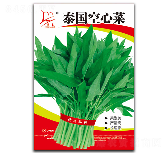 泰國空心菜-空心菜種子-閩皇種業(yè)