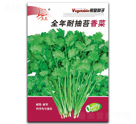 全年耐抽苔香菜-香菜種子-閩皇種業(yè)