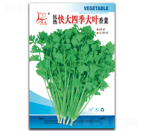 抗熱快大四季大葉香菜-香菜種子-閩皇種業(yè)