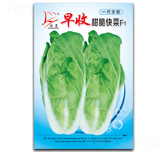 早收甜脆快菜-快菜種子-閩皇種業(yè)