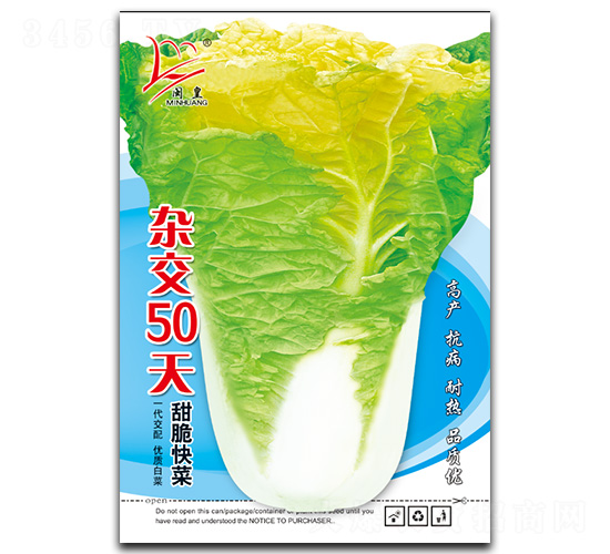 雜交50天-快菜種子-閩皇種業(yè)