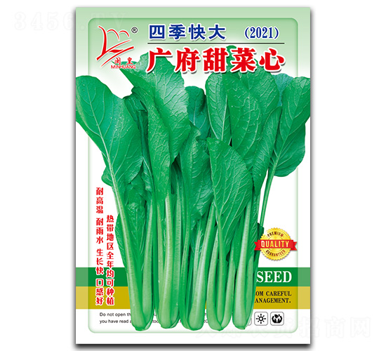 廣府甜菜心-菜心種子-閩皇種業(yè)