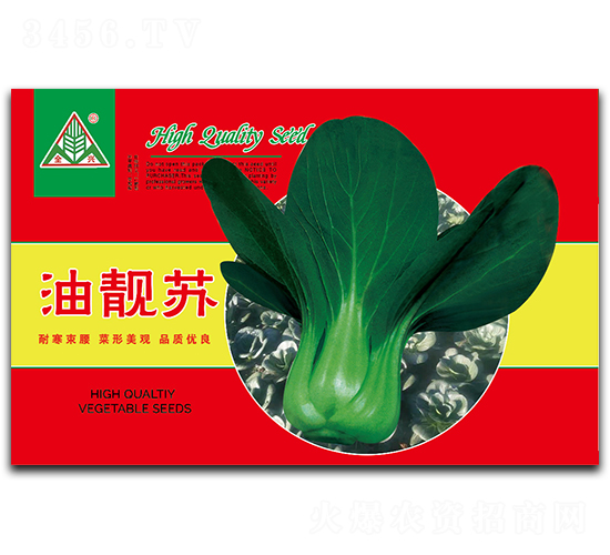 油靚蘇-青梗菜種子-全興種業(yè)