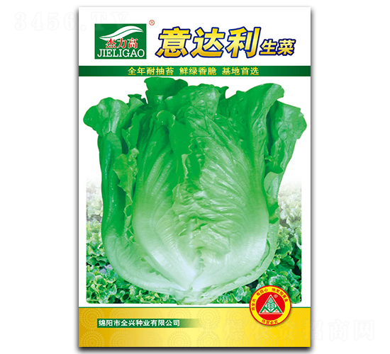 意達(dá)利生菜-生菜種子-全興種業(yè)