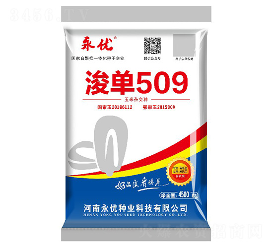 浚單509（4500粒）-玉米種子-永優(yōu)種業(yè)