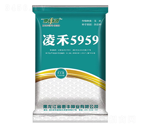 凌禾5959-玉米種子-惠豐源