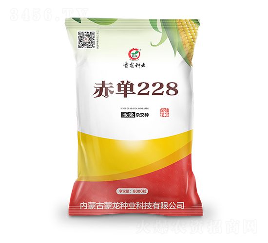 赤單228-玉米種子-蒙龍種業(yè)