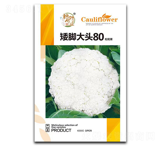 矮腳大頭80松花菜種子-怡妍農(nóng)業(yè)