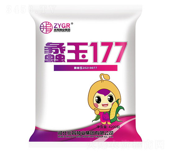 蠡玉177-玉米種子-兆育種業(yè)