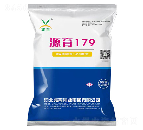 源育179-玉米種子-兆育種業(yè)