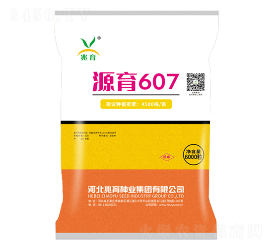 源育607-玉米種子-兆育種業(yè)