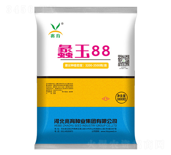 蠡玉88玉米種子-兆育種業(yè)