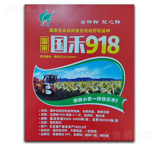 國禾918-玉米種子-陜墾大華