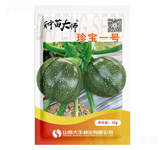 珍寶一號(hào)-南瓜種子-大豐種業(yè)