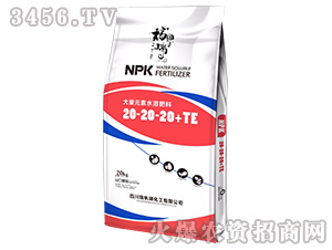 20kg大量元素水溶肥料20-20-20+TE-瑞帆磷