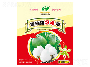 魯棉研34號(hào)-綠億種業(yè)