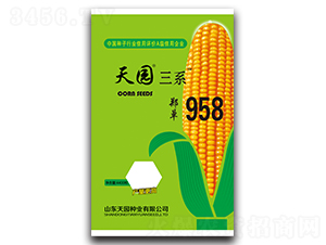 鄭單958-玉米種子-天園種業(yè)