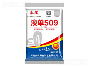 浚單509（4500粒）-玉米種子-永優(yōu)種業(yè)